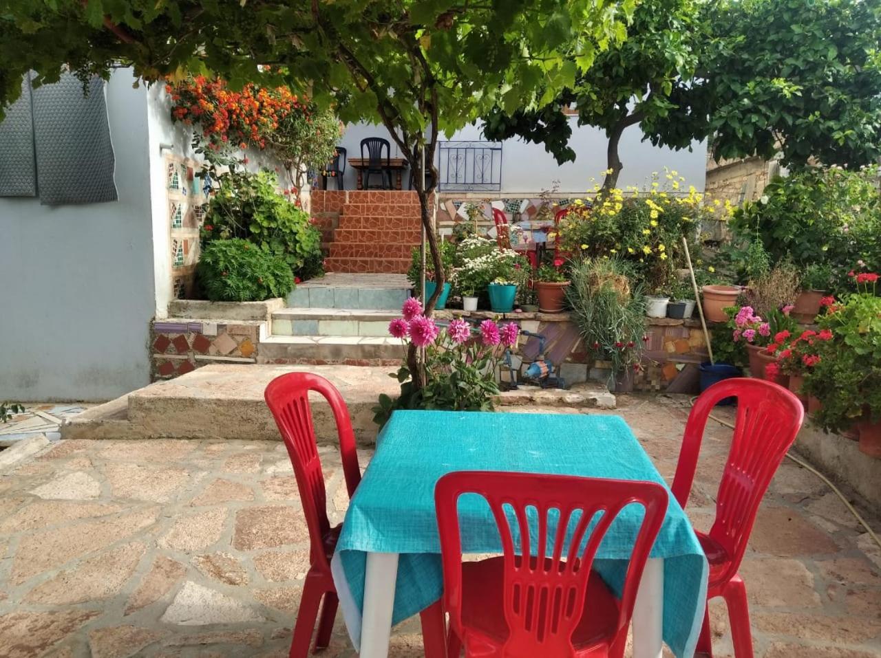 Hako Apartments Sarandë エクステリア 写真