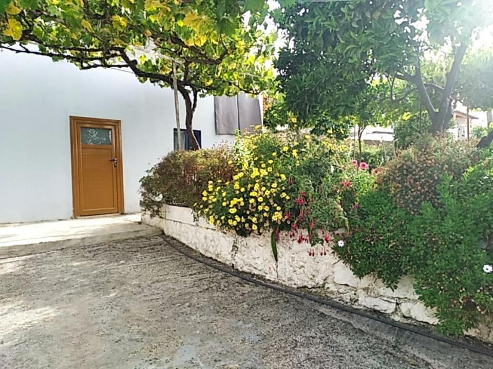 Hako Apartments Sarandë エクステリア 写真
