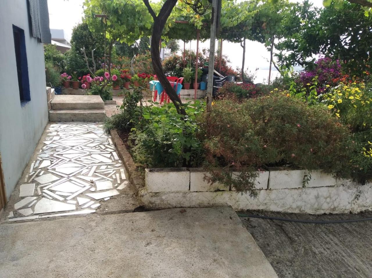 Hako Apartments Sarandë エクステリア 写真